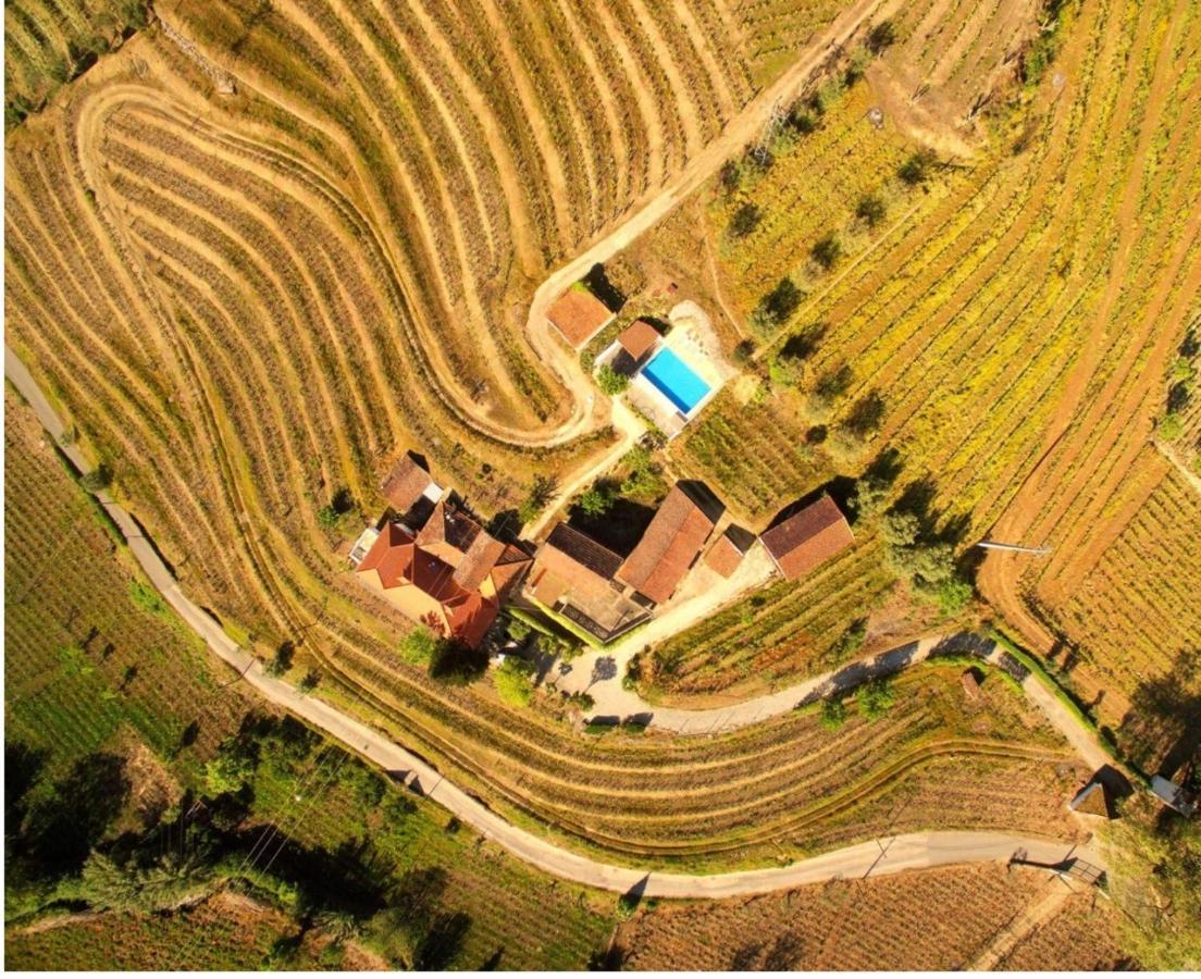 Quinta Do Fojo Bed & Breakfast Lamego Exterior photo