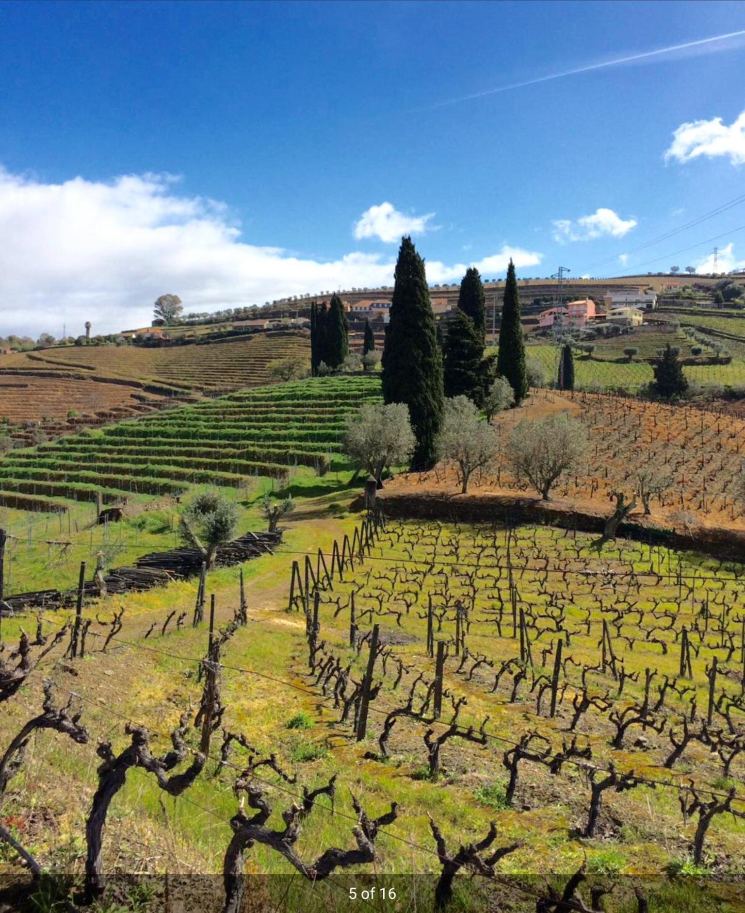 Quinta Do Fojo Bed & Breakfast Lamego Exterior photo