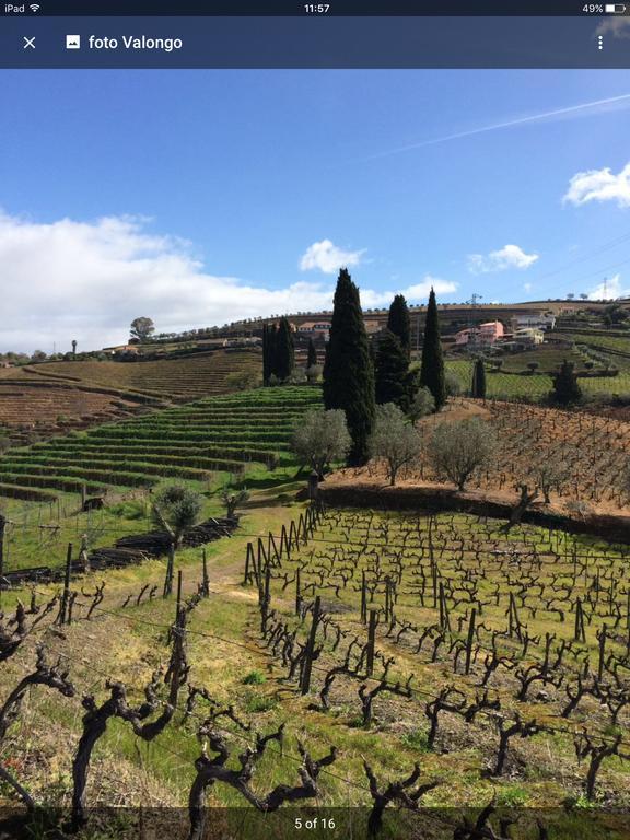 Quinta Do Fojo Bed & Breakfast Lamego Exterior photo