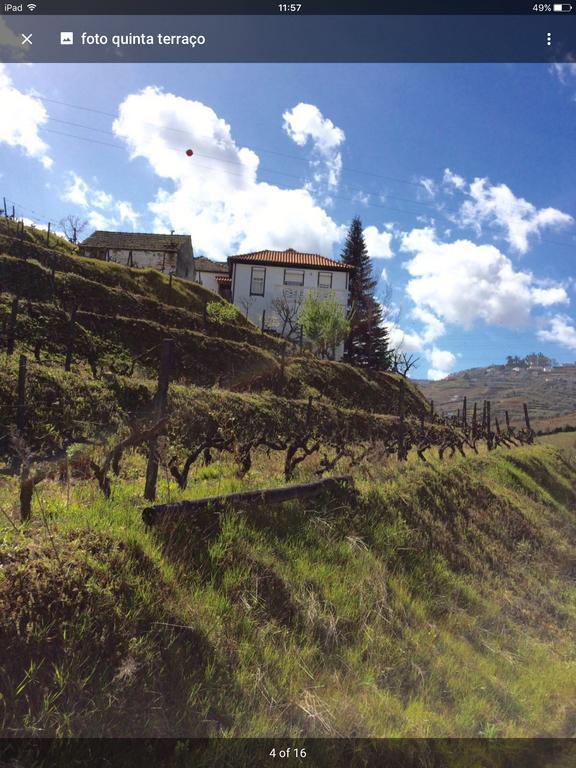 Quinta Do Fojo Bed & Breakfast Lamego Exterior photo