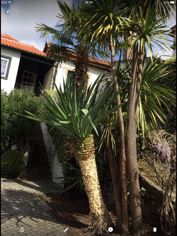 Quinta Do Fojo Bed & Breakfast Lamego Exterior photo