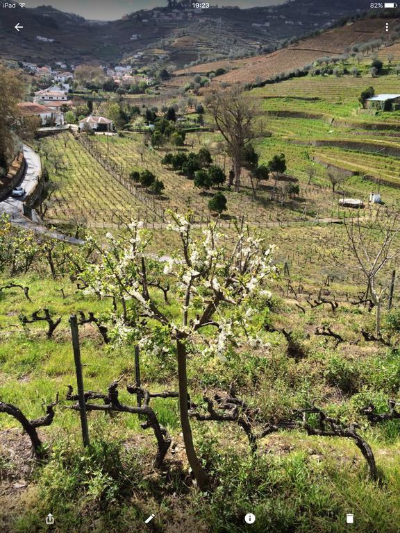 Quinta Do Fojo Bed & Breakfast Lamego Exterior photo