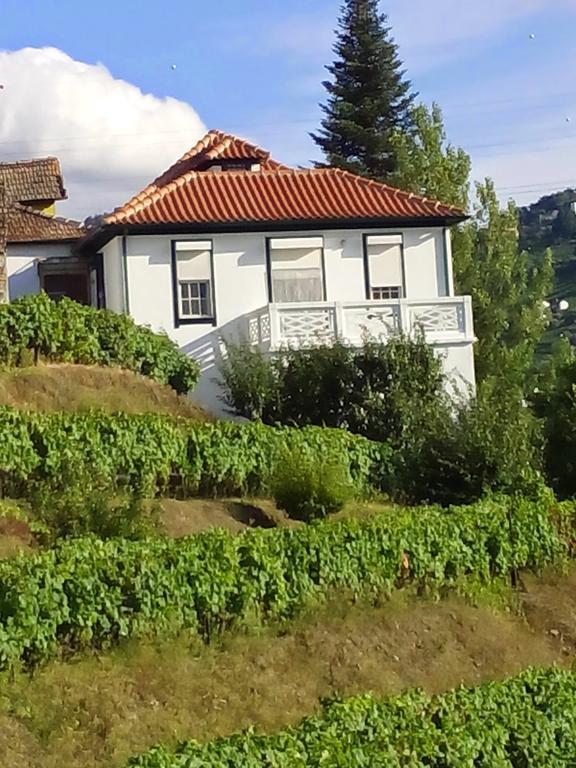 Quinta Do Fojo Bed & Breakfast Lamego Exterior photo