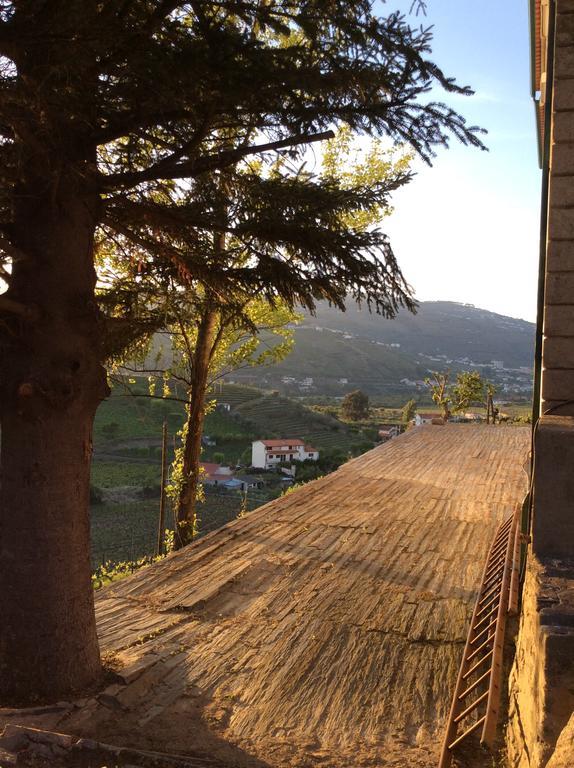 Quinta Do Fojo Bed & Breakfast Lamego Exterior photo