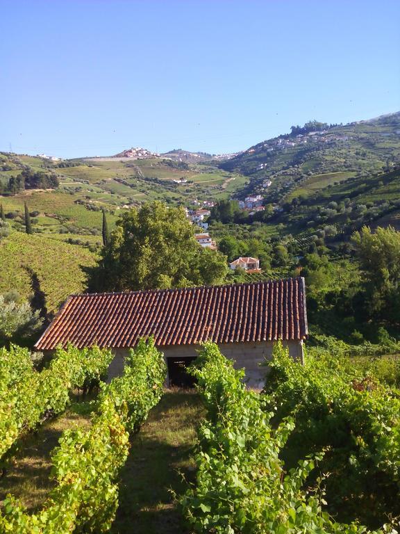 Quinta Do Fojo Bed & Breakfast Lamego Exterior photo