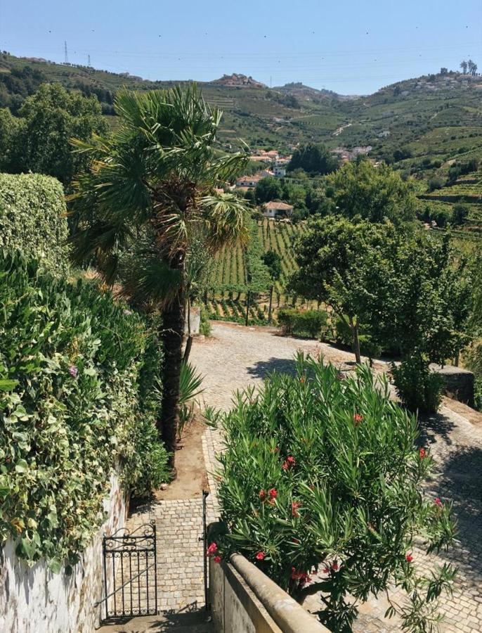 Quinta Do Fojo Bed & Breakfast Lamego Exterior photo